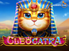 Kus sesi indirme. Big win casino slots.76